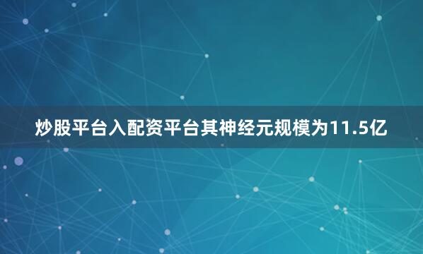 炒股平台入配资平台其神经元规模为11.5亿