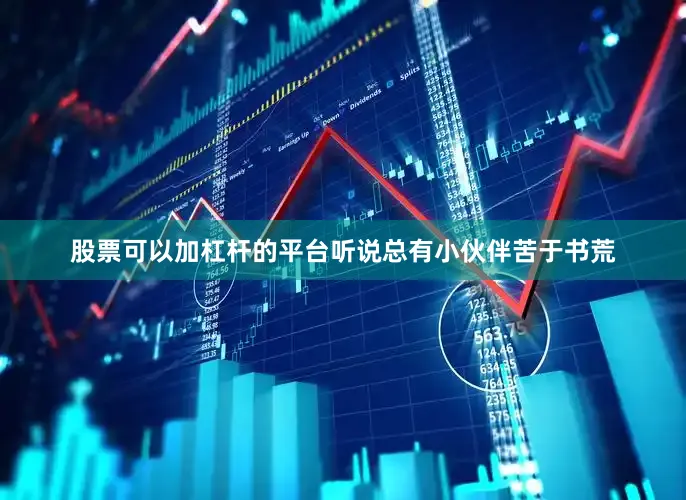 股票可以加杠杆的平台听说总有小伙伴苦于书荒