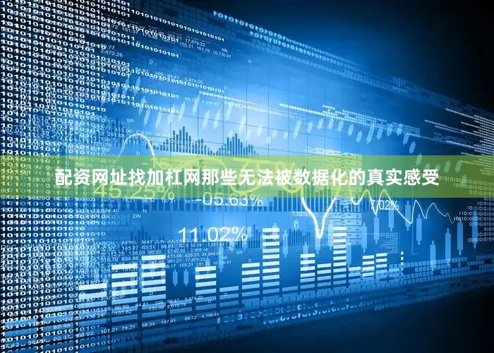 配资网址找加杠网那些无法被数据化的真实感受